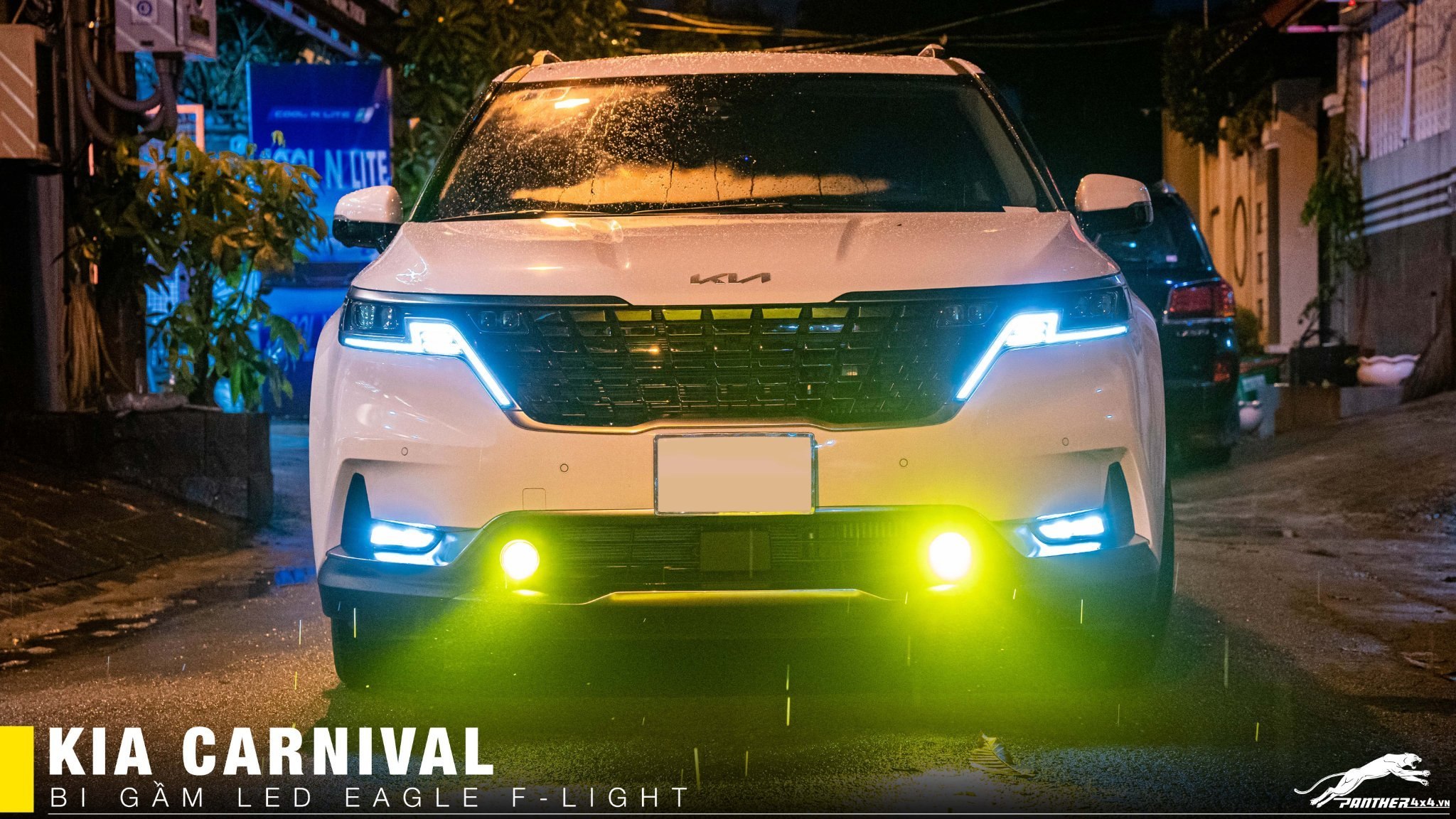bi LED gầm Eagle F-Light cho Kia Carnival